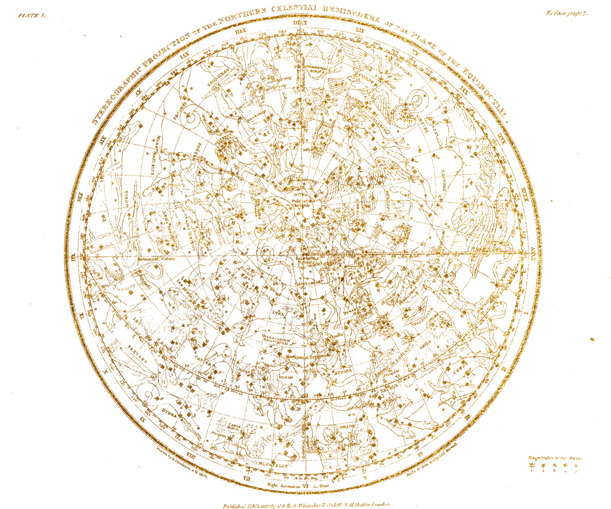 Architects of Wonder